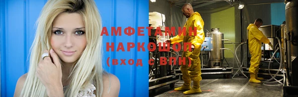 шишки Гусев