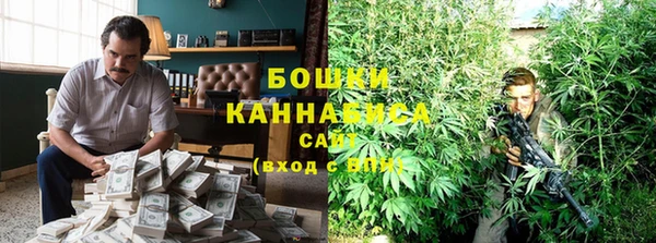 apvp Дегтярск