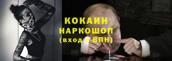 сатива Сафоново
