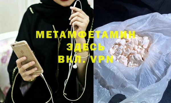 шишки Гусев