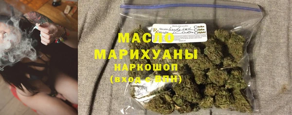 шишки Гусев
