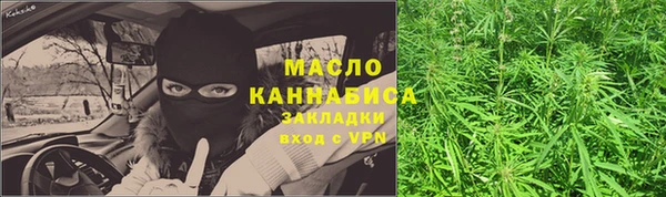 гидропоника Гусь-Хрустальный