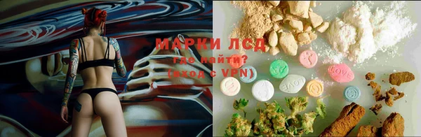 шишки Гусев