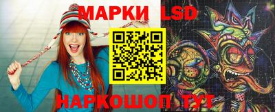 гидропоника Новозыбков