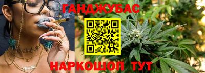гидропоника Новозыбков