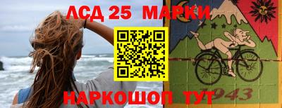 гидропоника Новозыбков