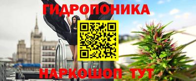 гидропоника Новозыбков