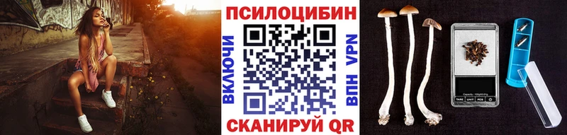 Псилоцибиновые грибы Psilocybe  закладки  Дятьково 